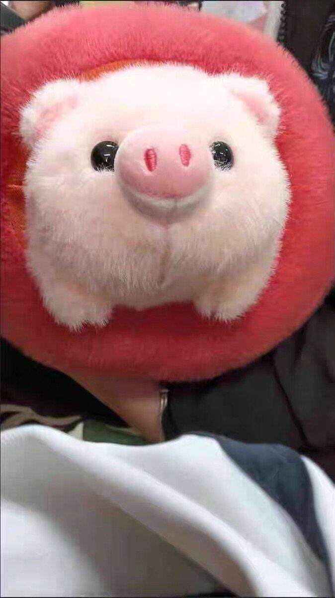 Piglet in a Peach Plush Hideaway Set