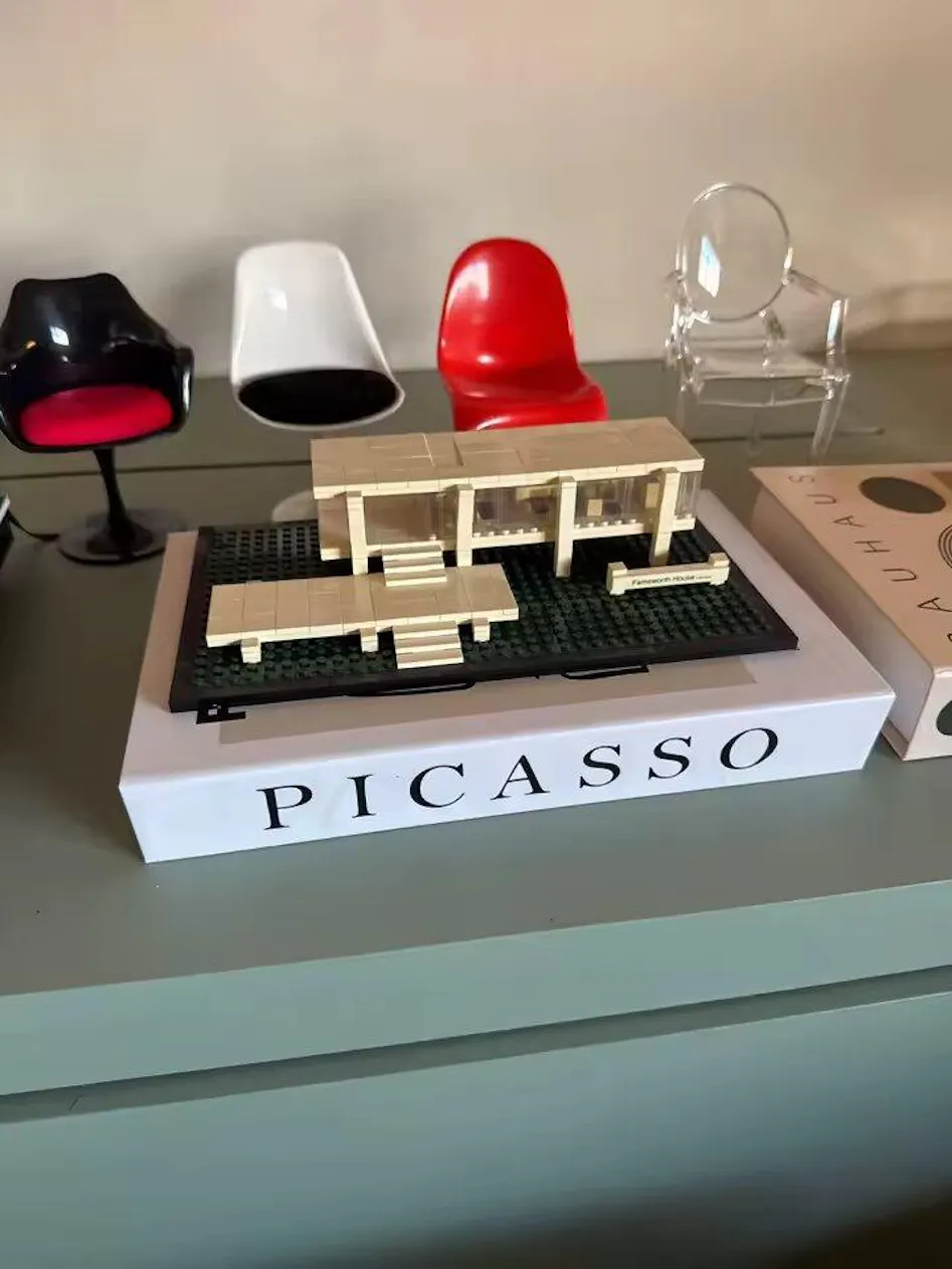 ★Backyard Markets★ PICASSO 2冊セット Picasso Art Faux Book Storage Box Set – Minimalist Decorative