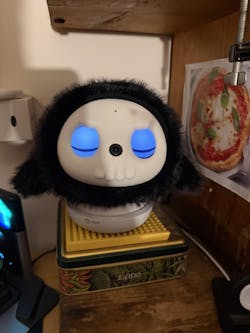 MINI SKELETON OUTFIT