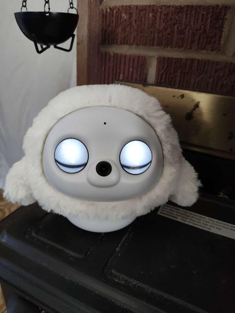 Ropet Gift Season Badge - Only for Gift, not for Sale