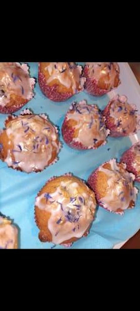 Pinzette - mit Silikonüberzug - 15cm