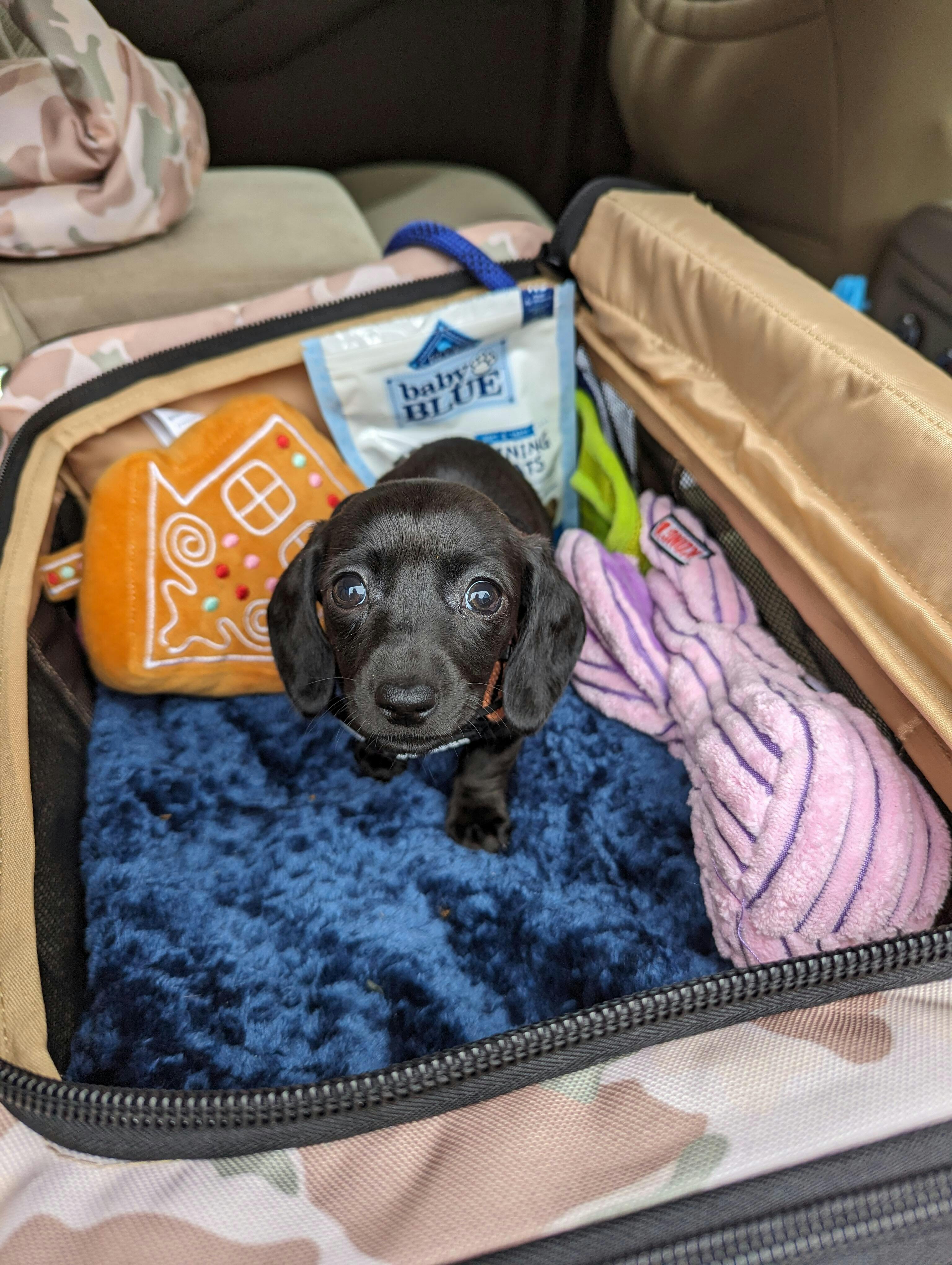 CUSTOMER REVIEWS ROVERLUND