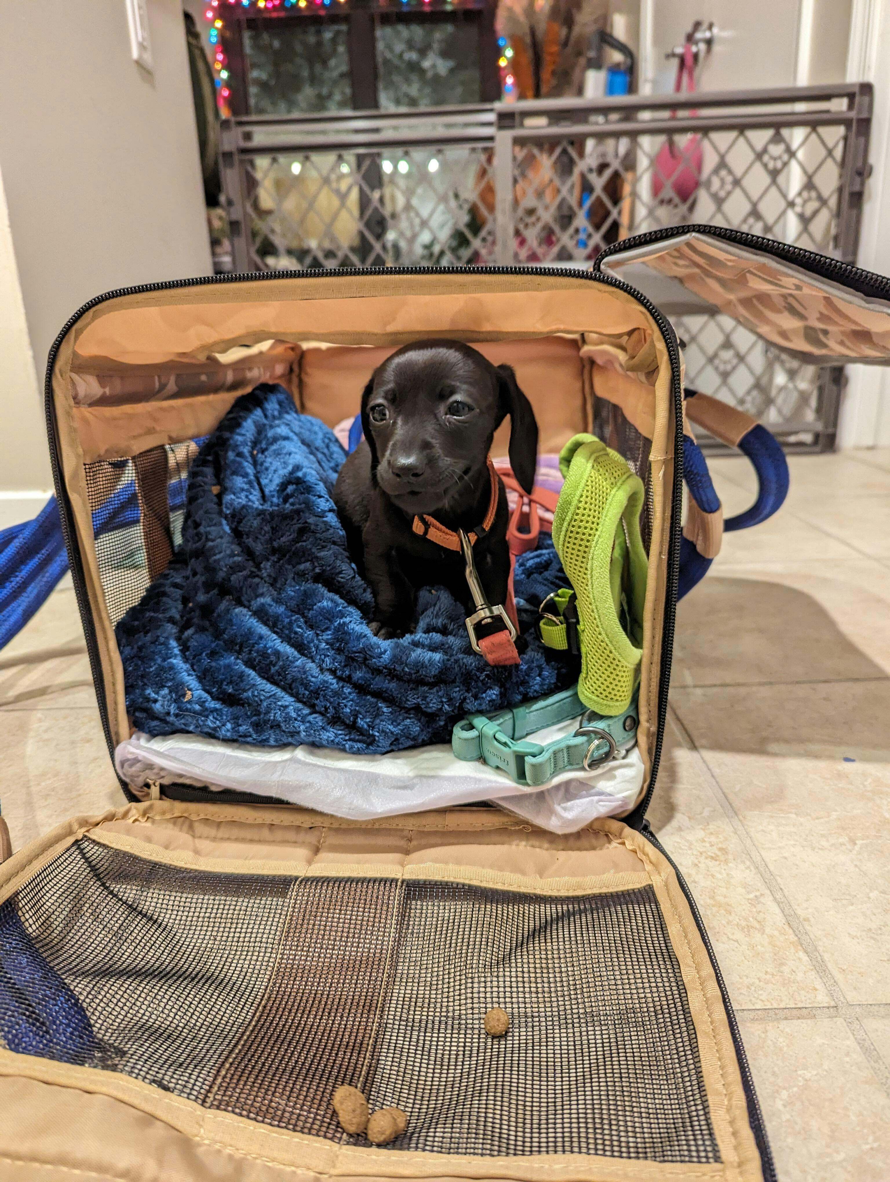 CUSTOMER REVIEWS ROVERLUND