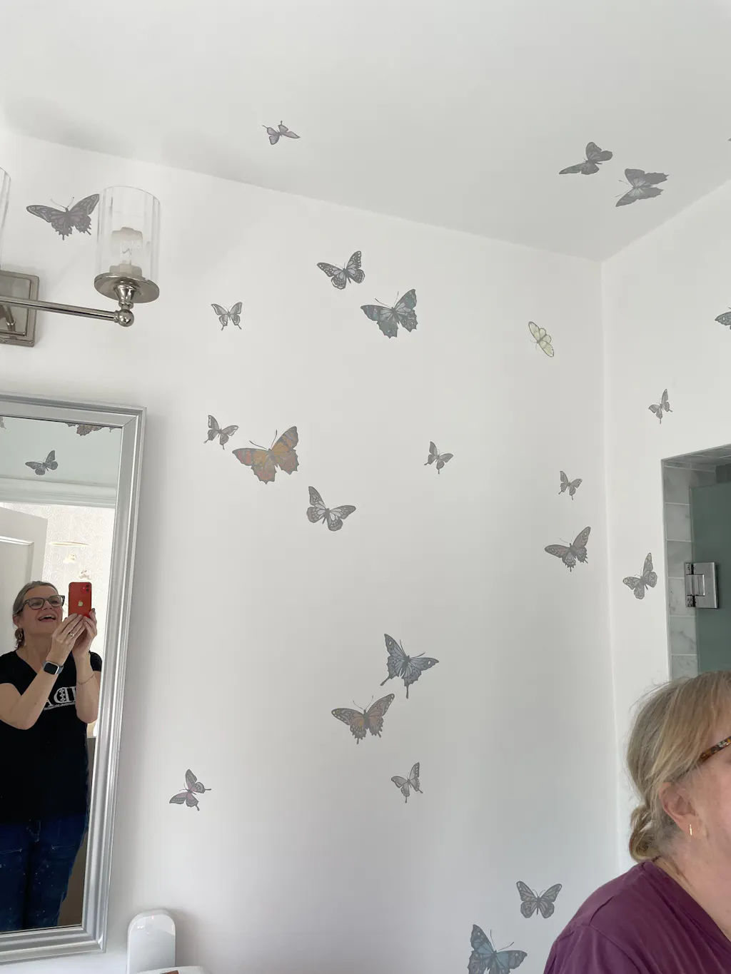 Stencils | Papillon Butterfly Stencil Set