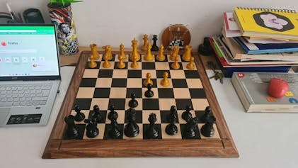 21 Solid Inlaid Ebony & Maple Wood Chess Board With Coordinates - 55 mm  Square