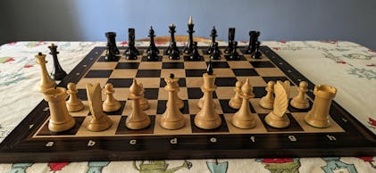 World Chess Set (Home Edition with Bauhaus Board) - buy online with  worldwide shipping – World Chess Shop