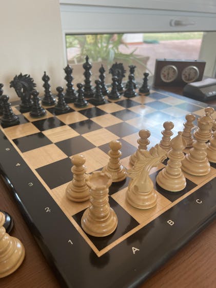 VENEZIA - 51 cm Root of Elm Glossy Luxury Chess Board