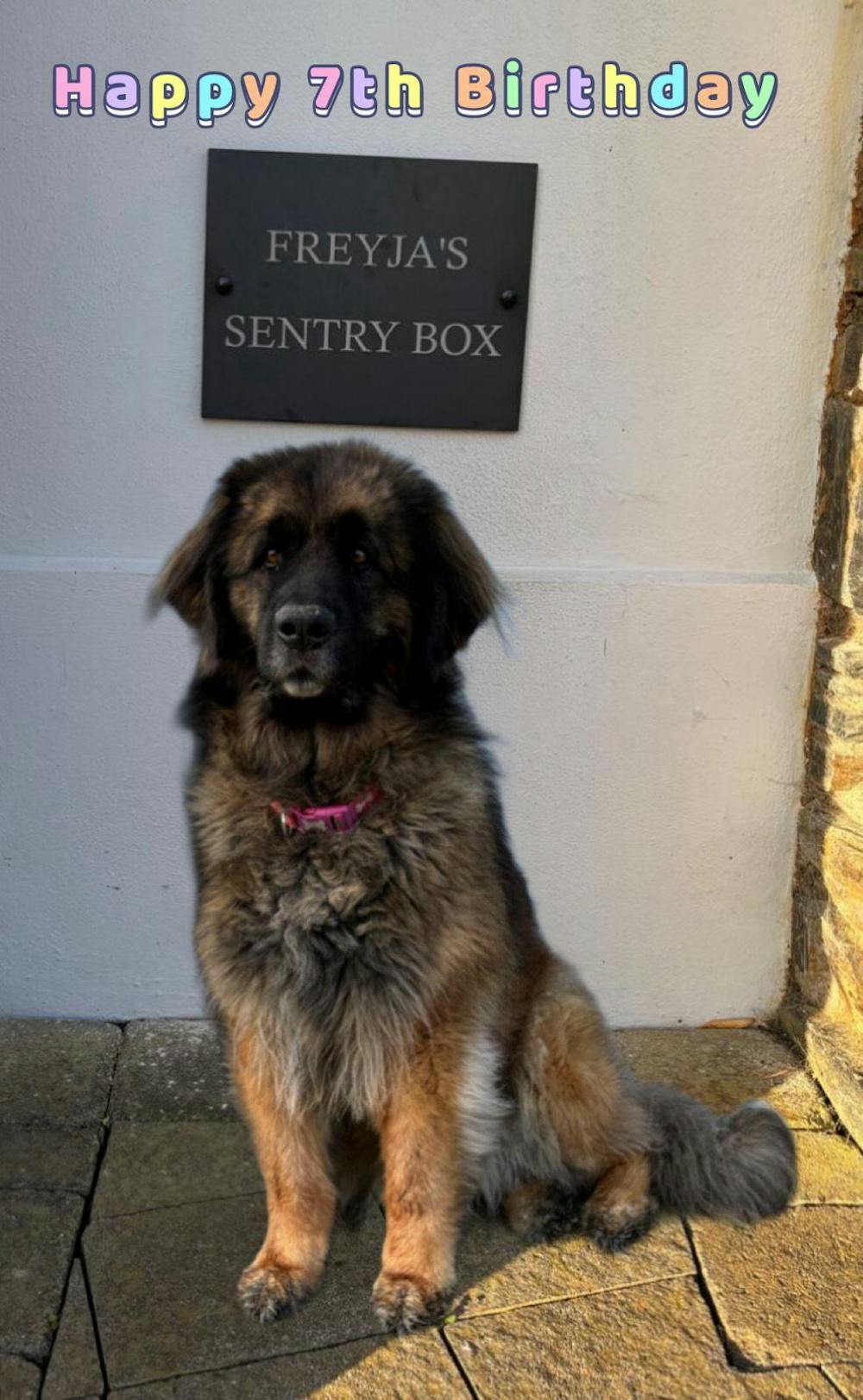 Personalised Engraved Large Slate Plaque/Sign with wall fixings - 25x20cm