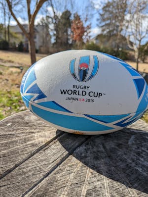 Gilbert Rugby World Cup 2019 Argentina Flag Ball