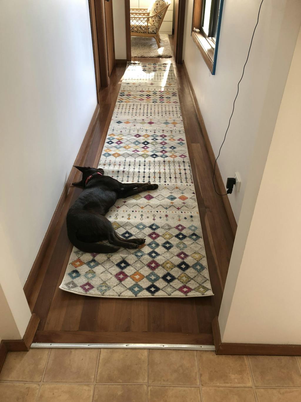 Rugs Online Australia Buy Rugs For Sale Floor Rugs Store Sydney