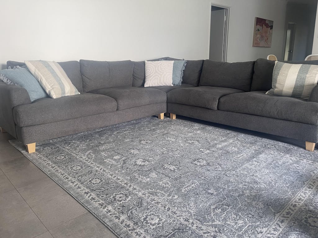 Transitional Rugs Transitional Rug On Sale Transitional Rug Online