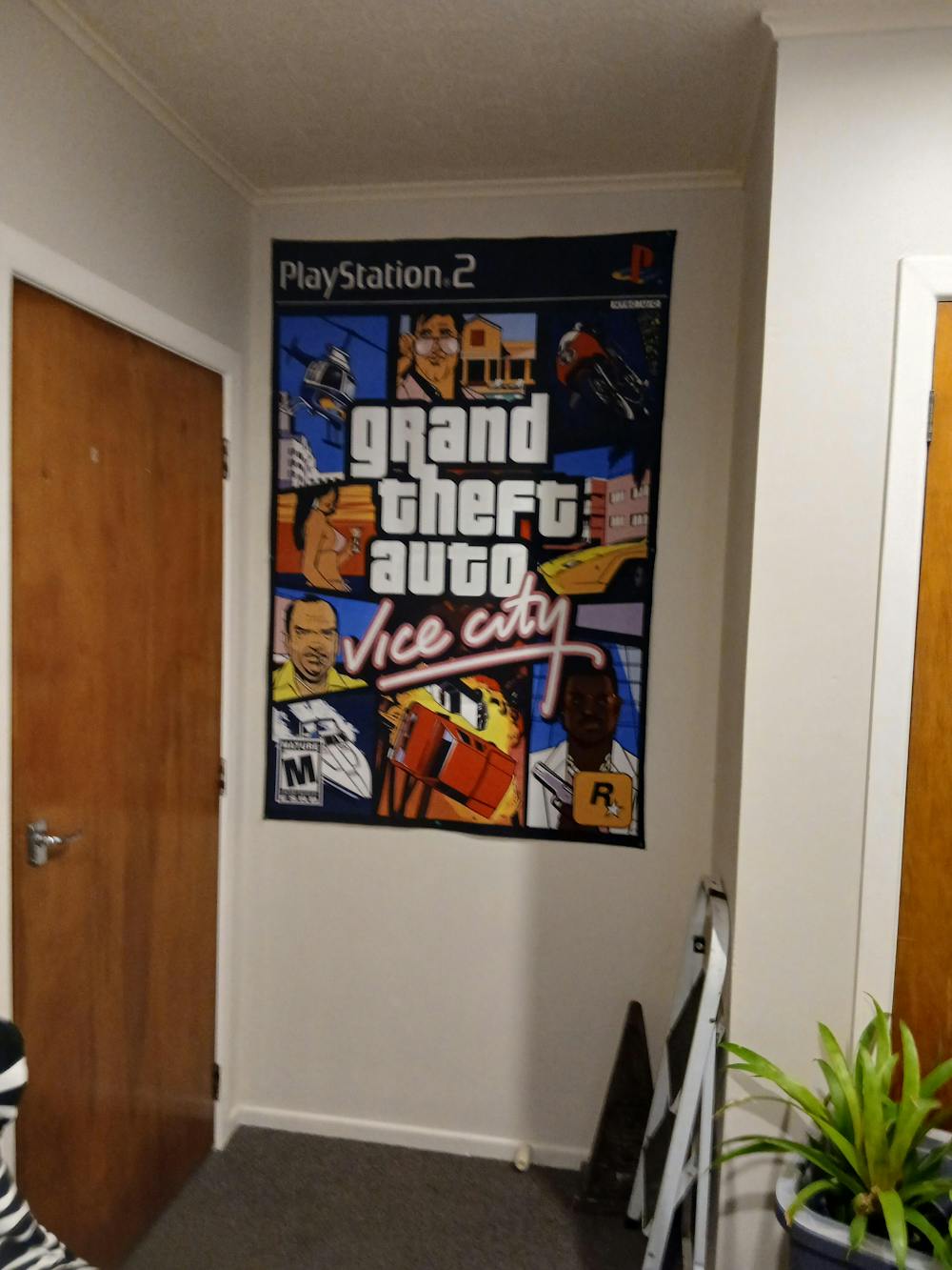 GTA Vice City Rug – PS2 Video Game Cover Art Design