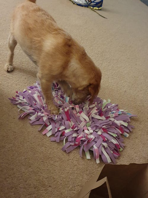 Trial Bags
