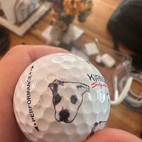 Personalized Trump You're A Great Golfer Golf Ball Stamp CH07 896874