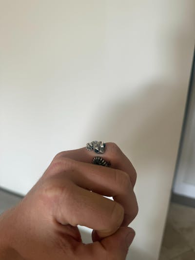 Y2K Vintage Silver Gecko Ring – Adjustable Size, Unisex, Brand New