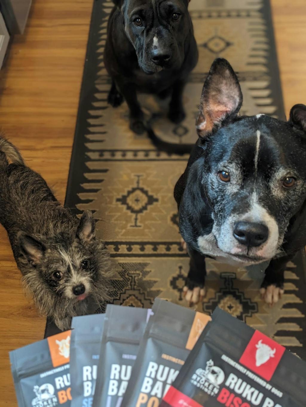 All the Treats Bundle