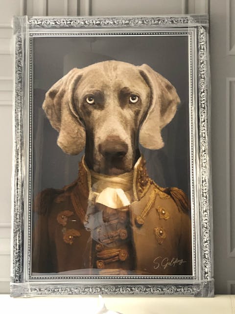 Pet Portrait - Large