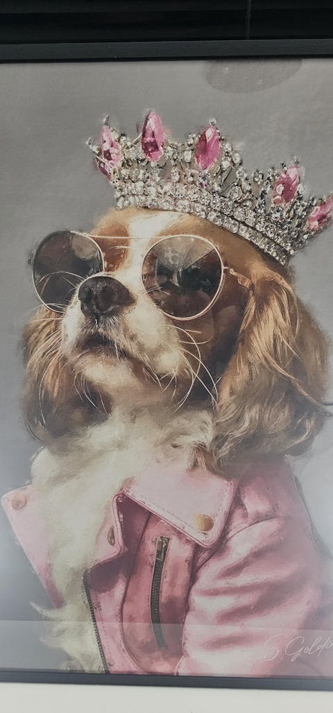 Pet Portrait - Traditional Size