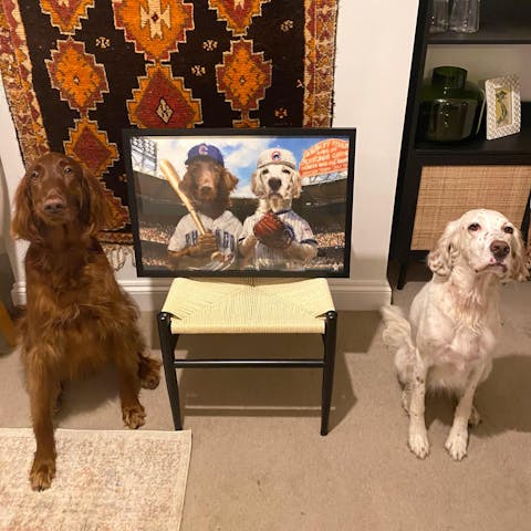 Pet Portrait - Traditional Size