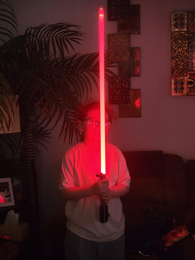 Premium Saber Stand