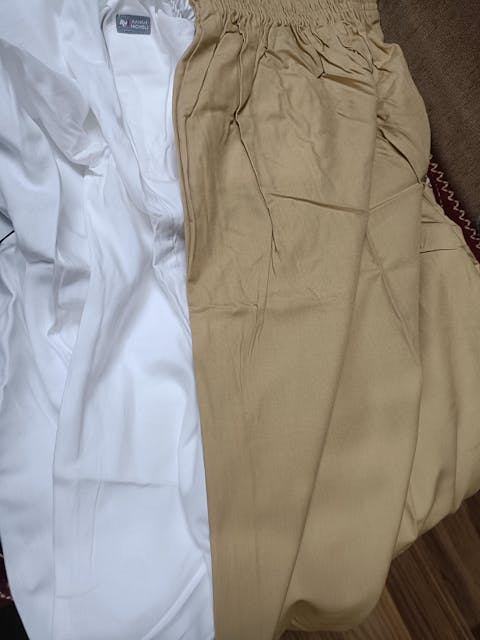 Sea green Palazzo Pants