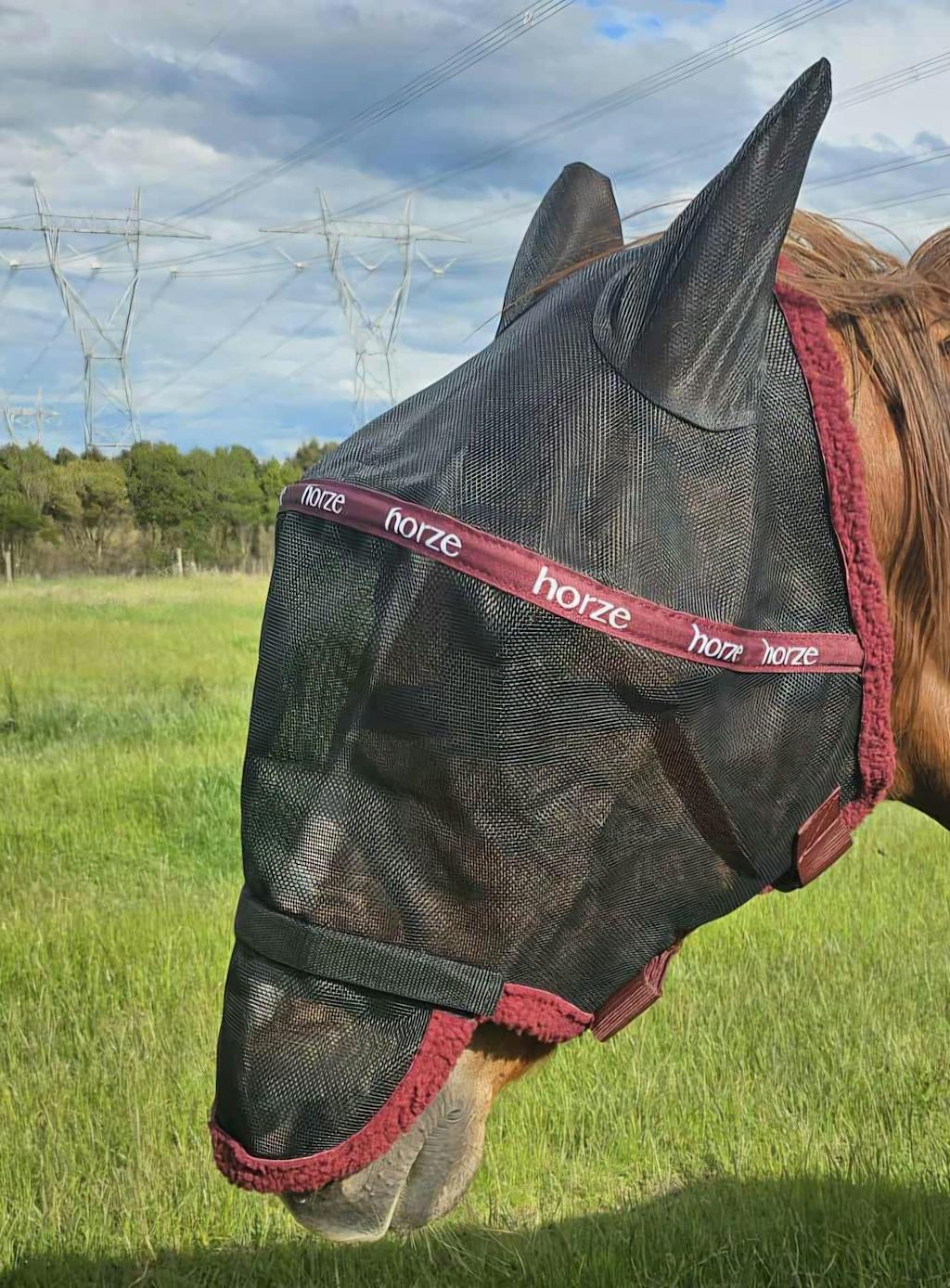 Horze Wire-Framed Flymask