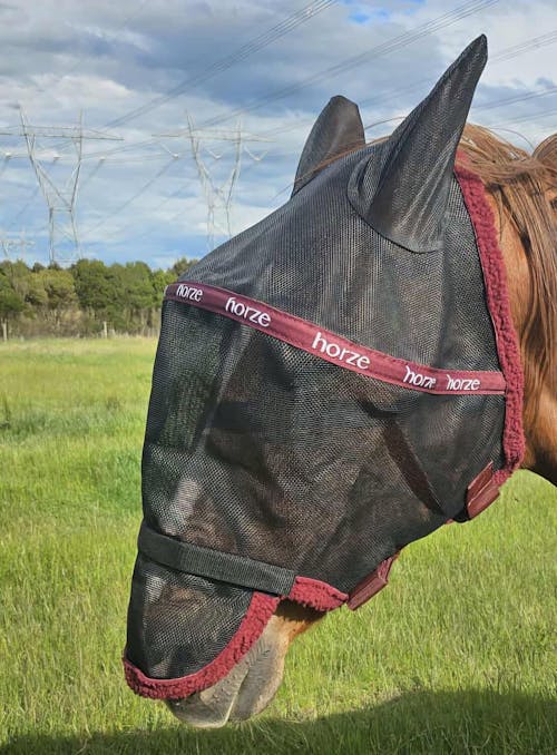Horze Wire-Framed Flymask