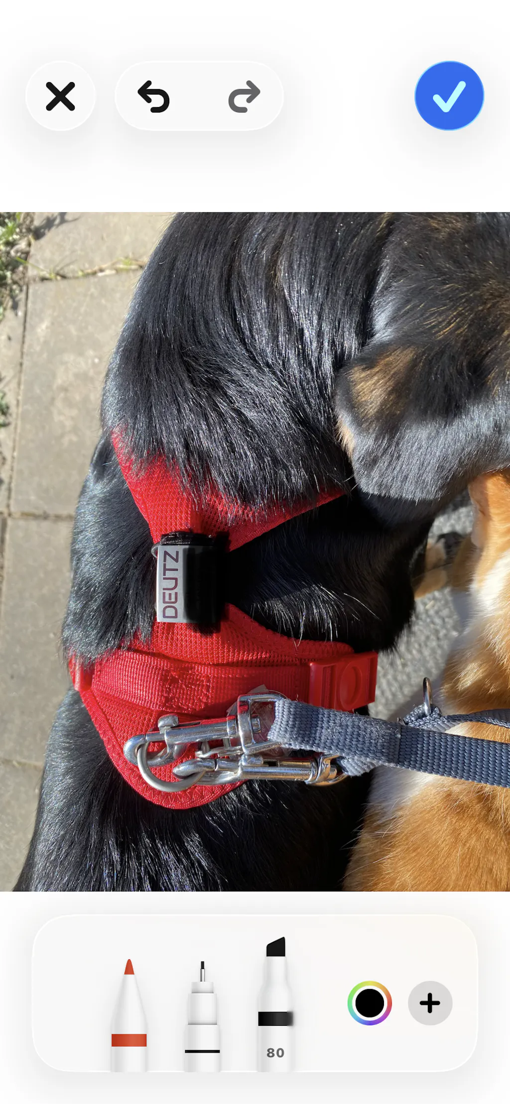 hundebett waschbar günstig Orthopädisches Hundebett waschbar