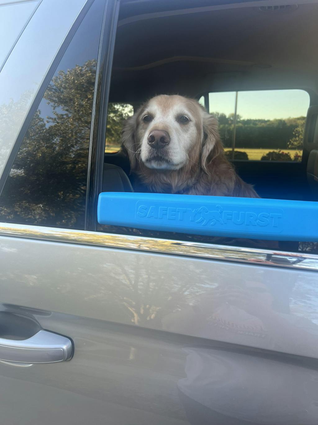 The Whiffie Cushion™ — Patent-Pending Car Window Chin Rest For Dogs