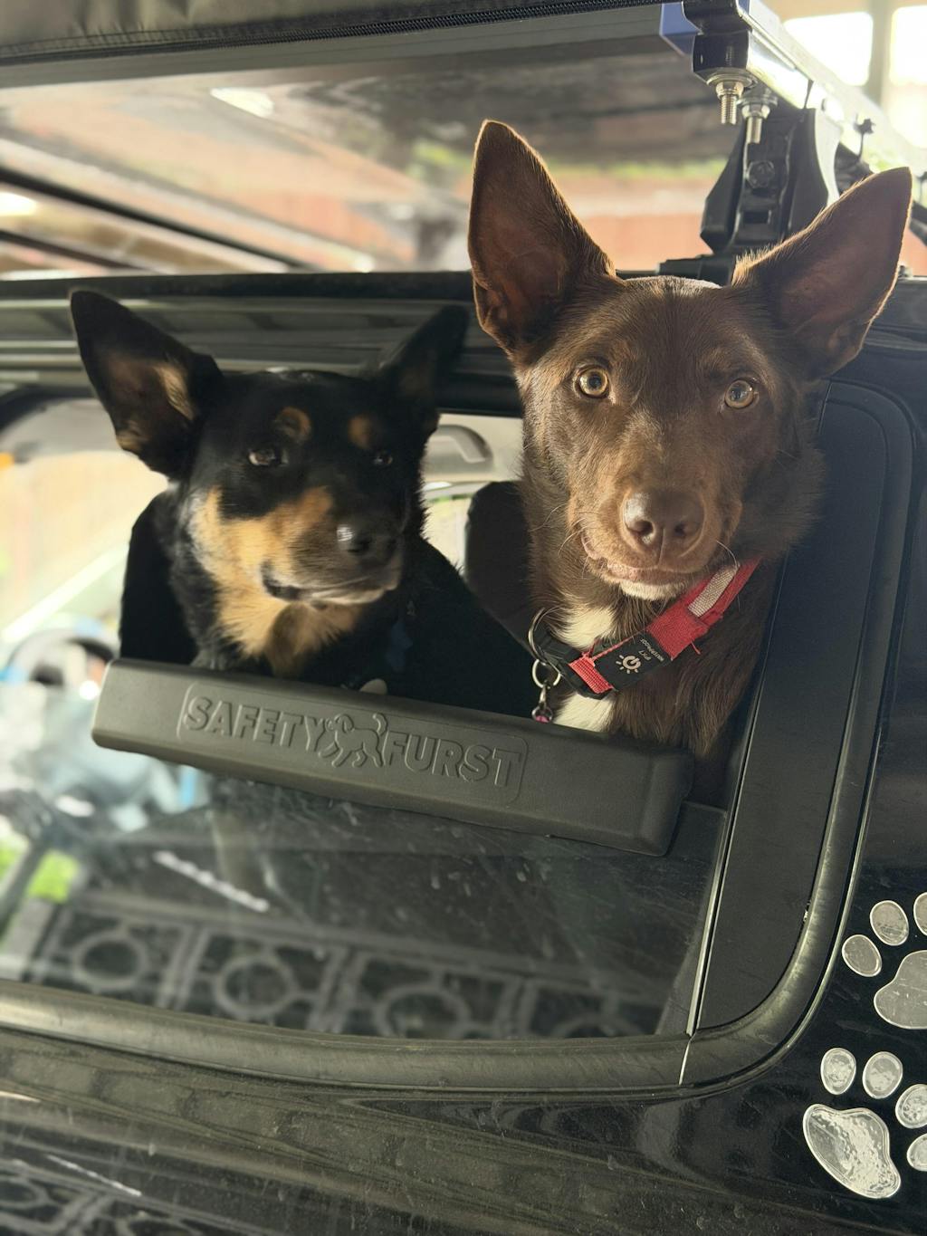 The Whiffie Cushion™ — Patent-Pending Car Window Chin Rest For Dogs