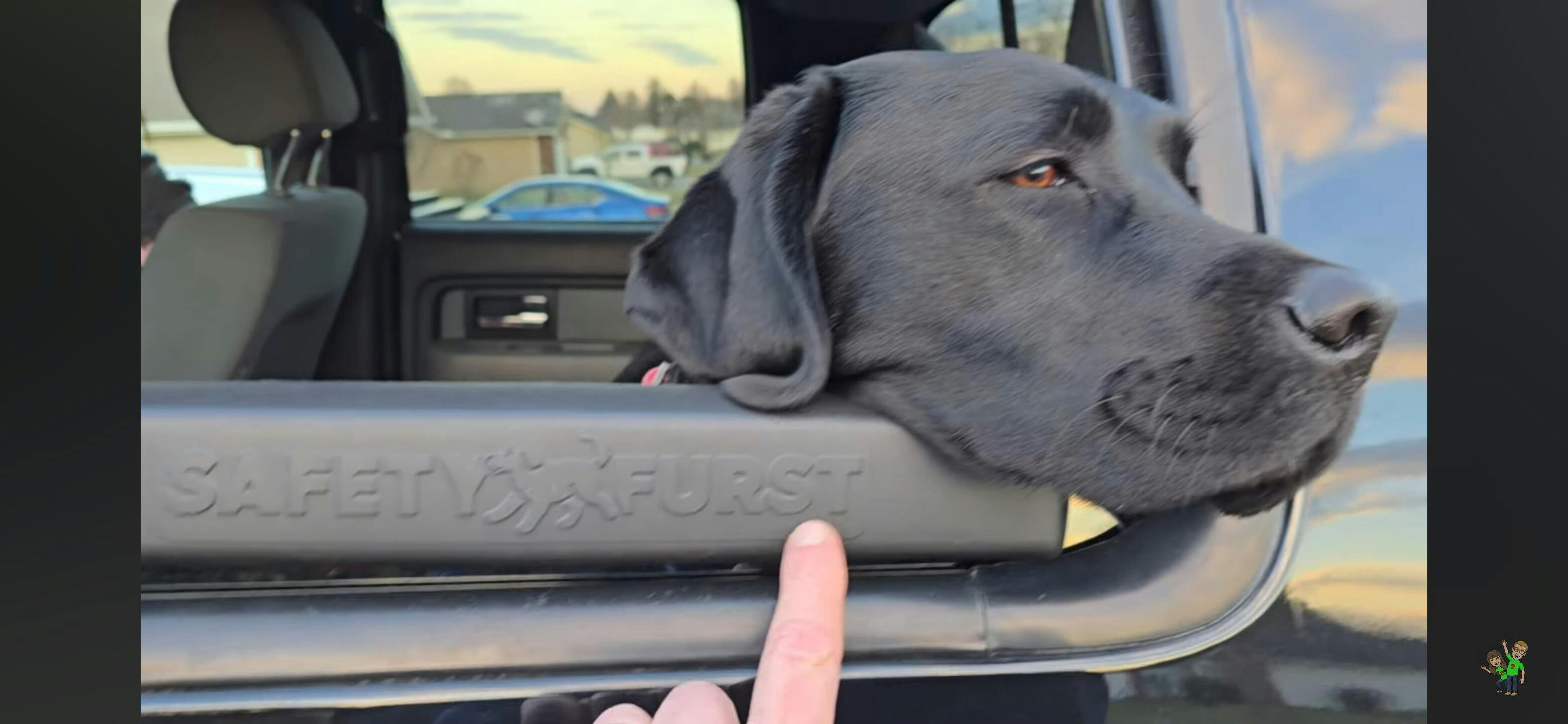 犬 Whiffie Cushion™ - SafetyFurst™製、特許出願中の犬用車窓用チンレスト