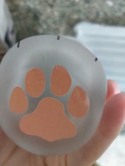 Cat Paw Glass Cups - Cute and Unique Glassware for Cat Lovers – Sage & Sill