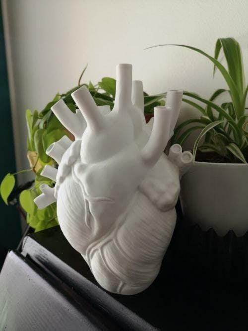 STL file Anatomical Human Heart wall art human heart wall decor・3D printer  model to download・Cults