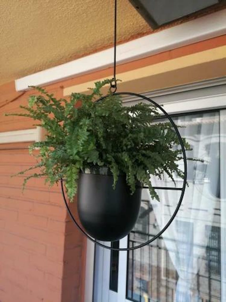Halo Metal Hanging Planter  Stylish and Durable Plant Holder – Sage & Sill