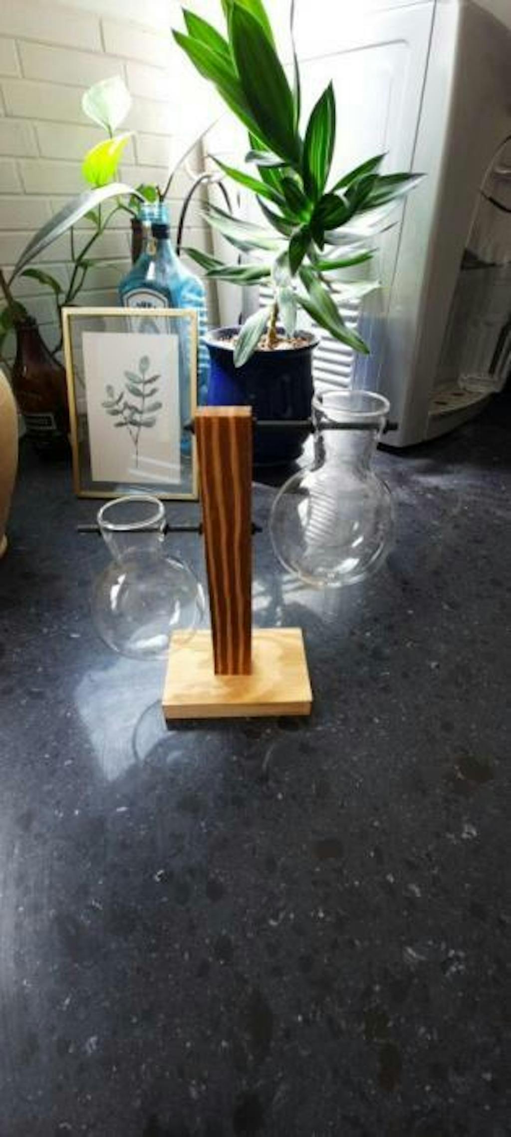 Glass Propagation Vase with Wooden Stand Plant Terrarium Sage & Sill