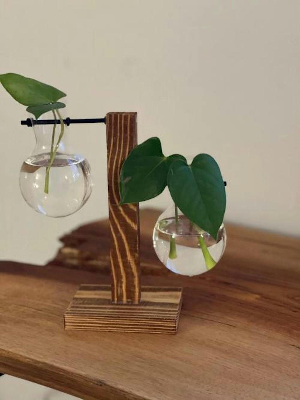 Glass Propagation Vase with Wooden Stand Plant Terrarium Sage & Sill