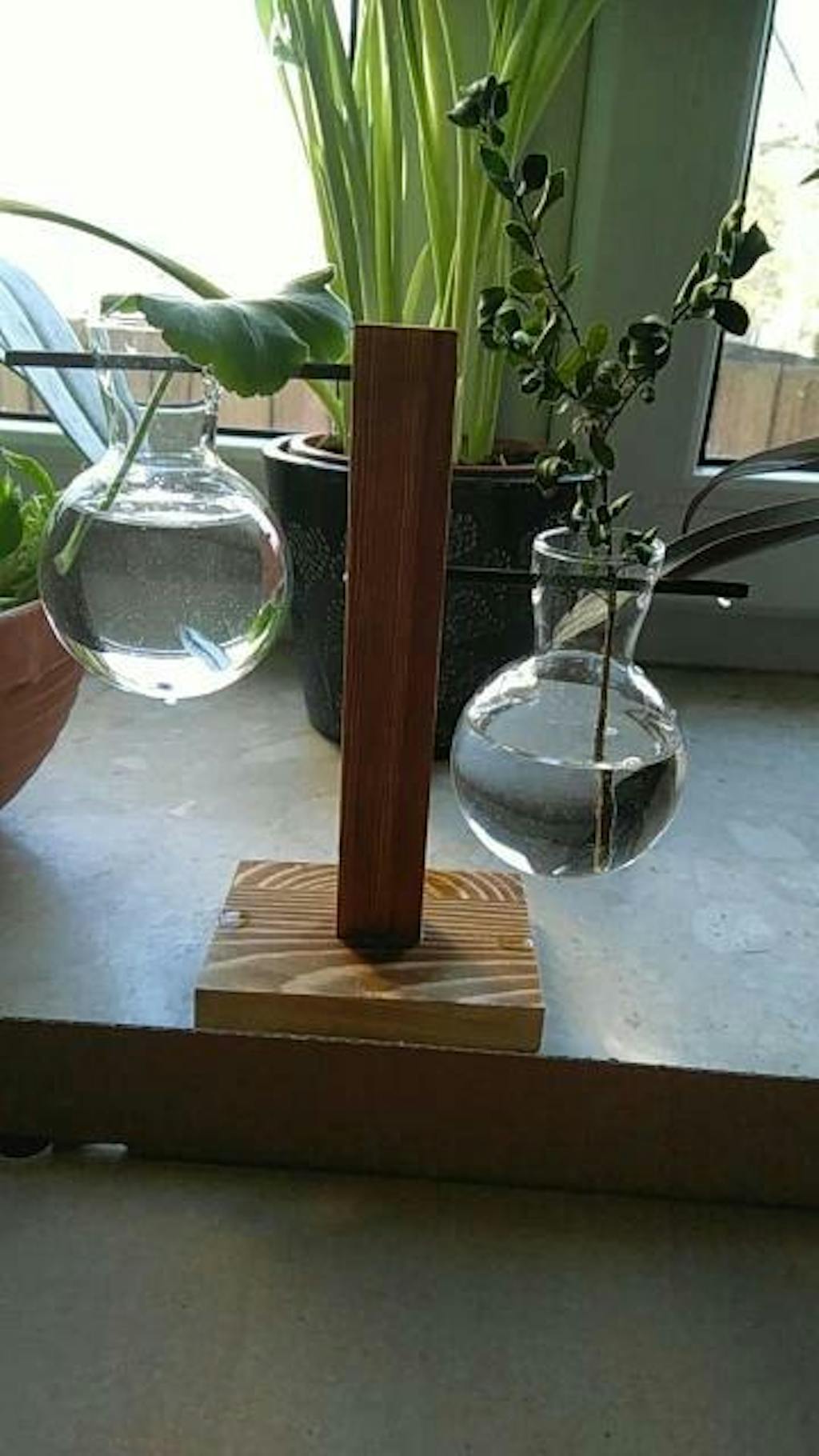 Glass Propagation Vase with Wooden Stand Plant Terrarium Sage & Sill