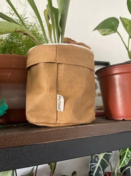 Washable paper planter bags - The perfect eco-friendly solution