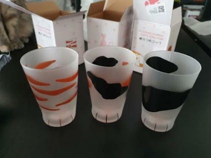 Cat Paw Glass Cups - Cute and Unique Glassware for Cat Lovers – Sage & Sill