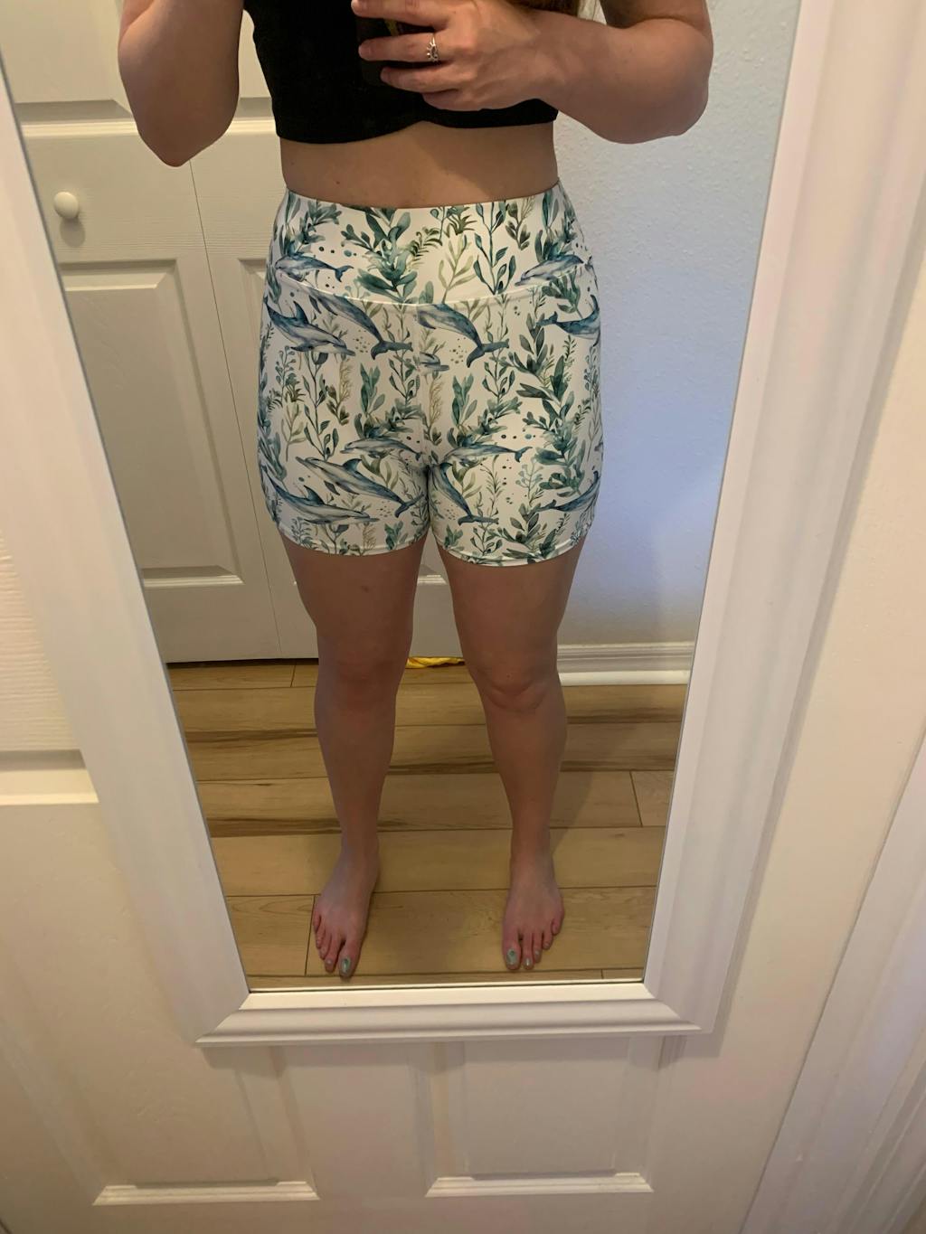 Seascape Dolphin 4" Inch Dive Shorts