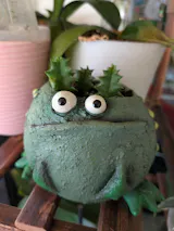 User picture