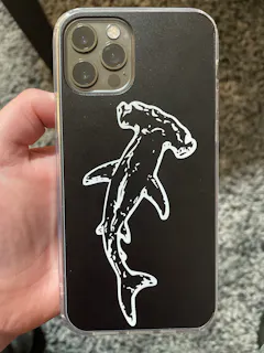Review picture