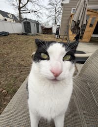 Versa-903VS 3 Person Outdoor Far Infrared Sauna Reclining with Red Light Therapy