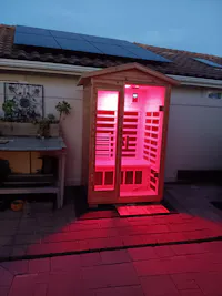 Garner-902VS 2 Person Outdoor Far Infrared Sauna (Enhanced with Red Light Therapy)