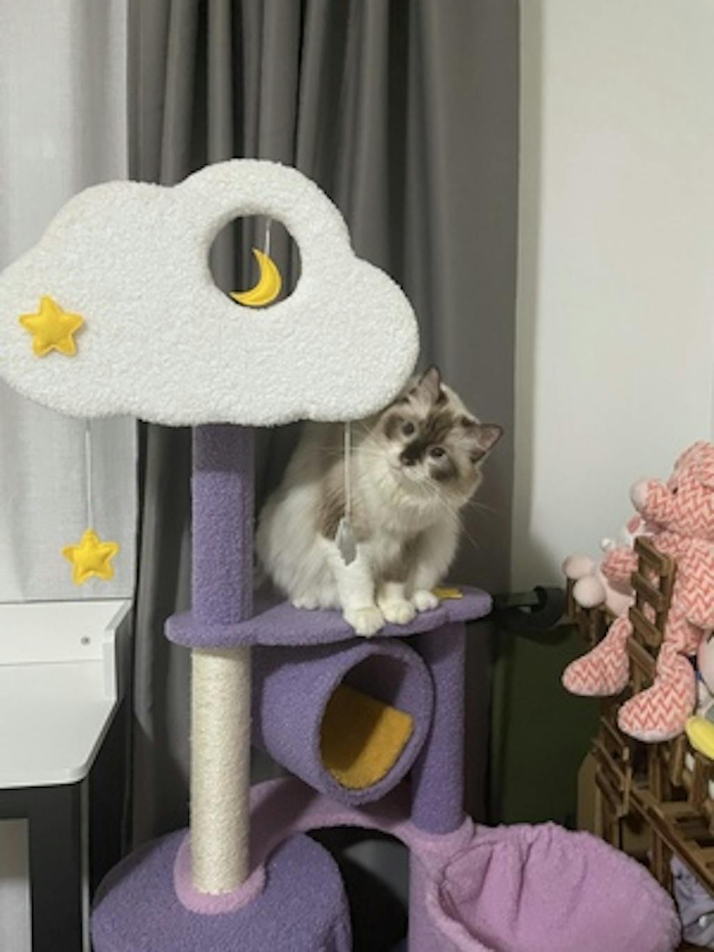 A cat tree customer review an actual picture of moonlight cat tree product