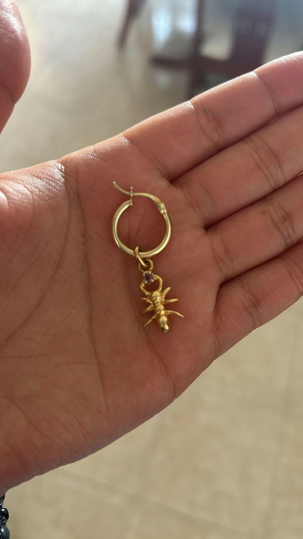 Charm Hormiga con Arracada