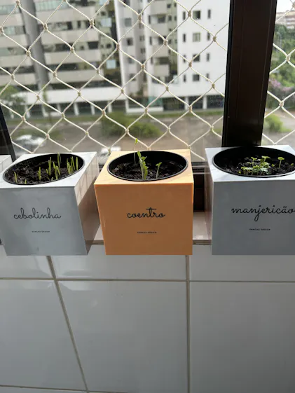 Horta Inteligente Kit Plantio Completo | Sanchz Design