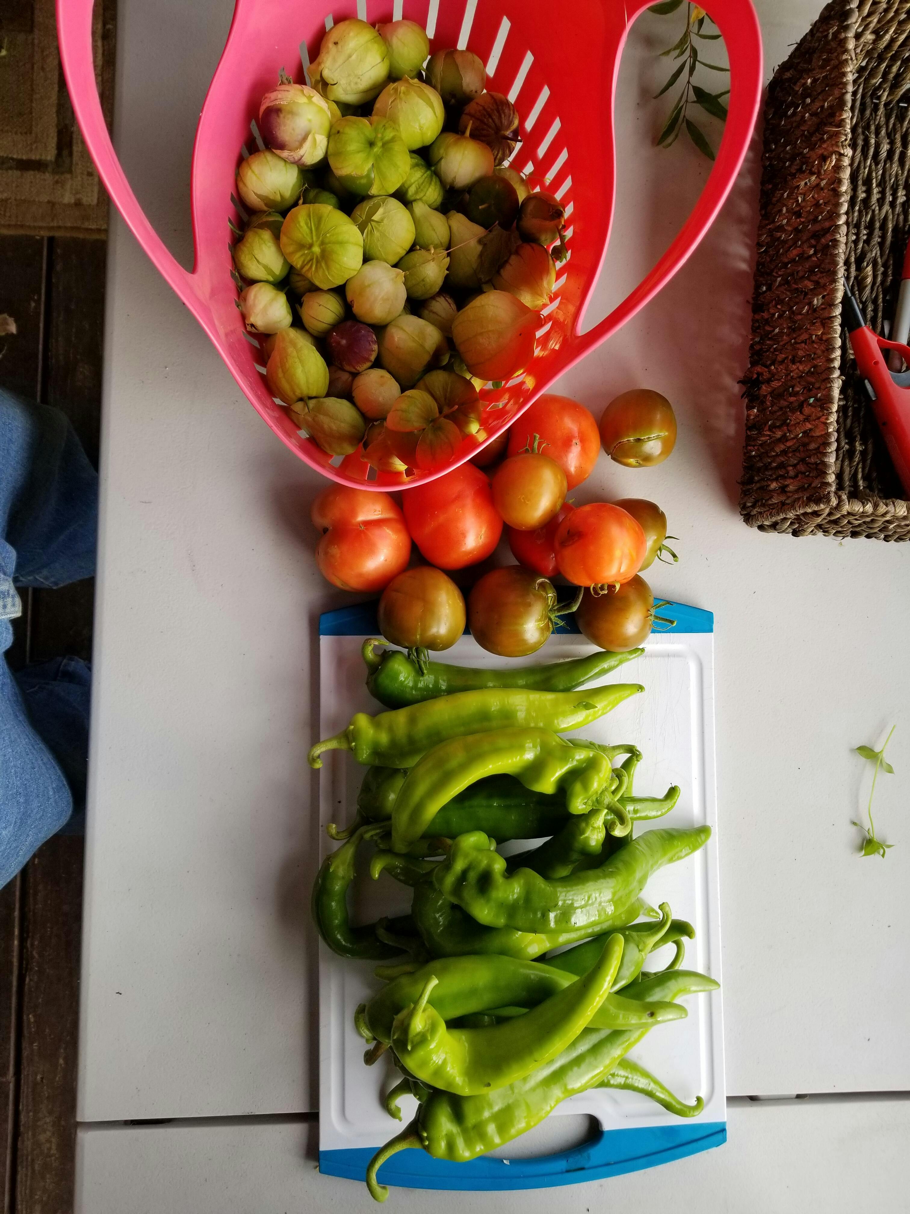 Stupice Tomato Seeds - Heirloom - Tangy Sweet Red Fruits – Sandia