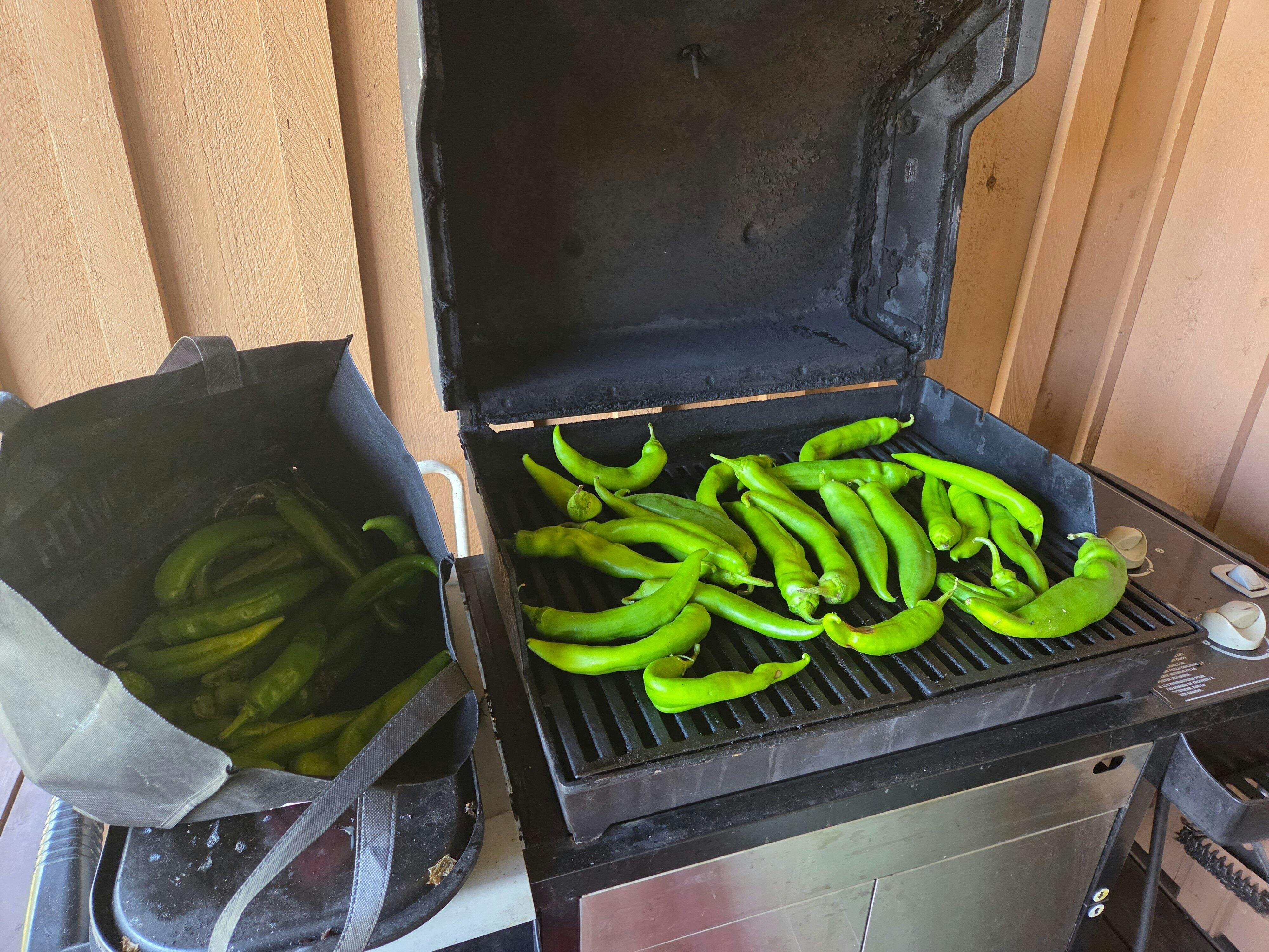 Big Jim Chile Seeds - Hatch Green Medium - Nice Heat & Great