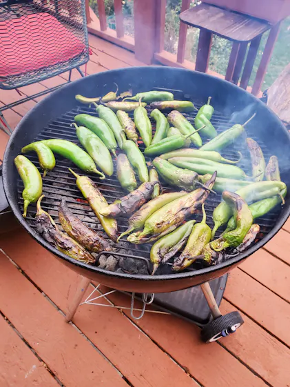 Big Jim Legacy Pepper Seeds - Flavor & Heat - a True New Mexico